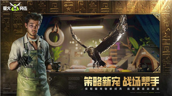 魔兽世界11.0浩劫DH附魔搭配推荐与实用解析！