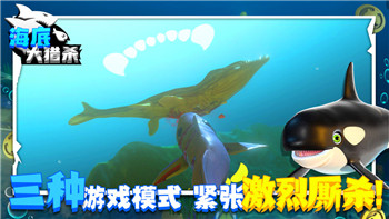 炉石传说2024标准卡组推荐——宇宙控场猎卡组详解！